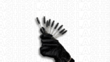 Vanity Lashes